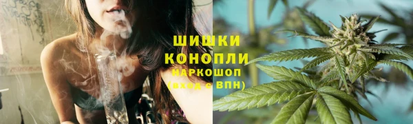 стаф Бронницы