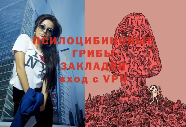 ALPHA PVP Беломорск