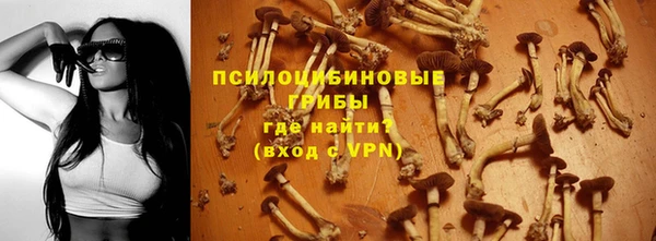 ALPHA PVP Беломорск
