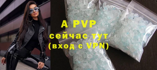 хмурый Сосновка