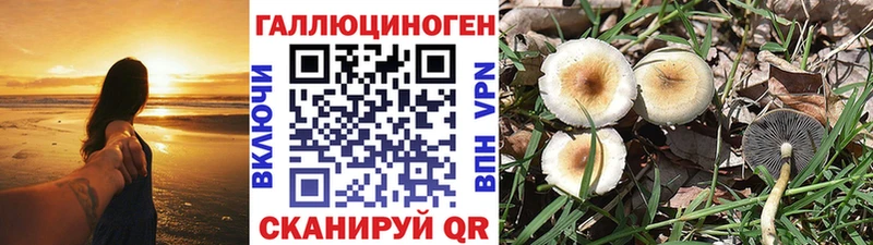 Псилоцибиновые грибы Psilocybine cubensis  даркнет сайт  Балабаново 